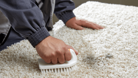 Professional Rug Cleaning Healesville